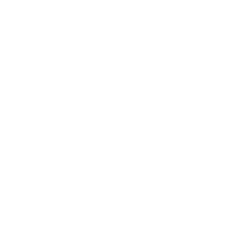 Light Mode Logo